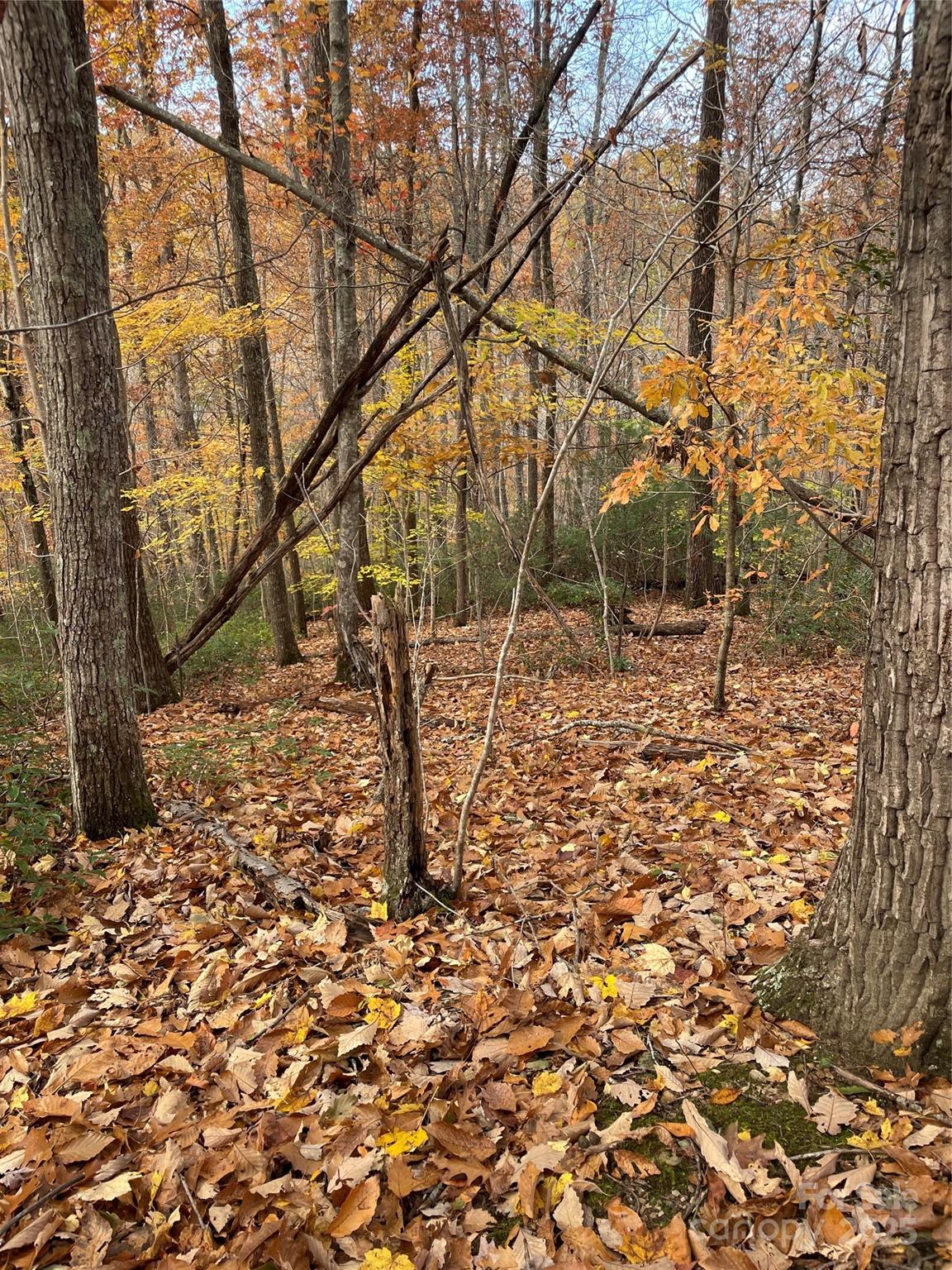 V/l Lot 72 & 170 Black Lark Drive Marion NC 28752