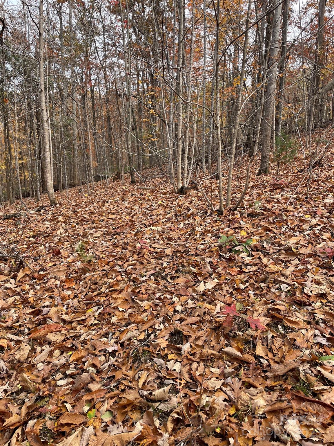 V/l Lot 72 & 170 Black Lark Drive Marion NC 28752