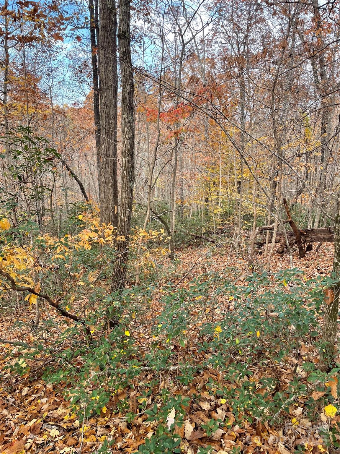 V/l Lot 72 & 170 Black Lark Drive Marion NC 28752