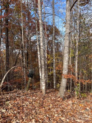 V/l Lot 72 & 170 Black Lark Drive Marion NC 28752