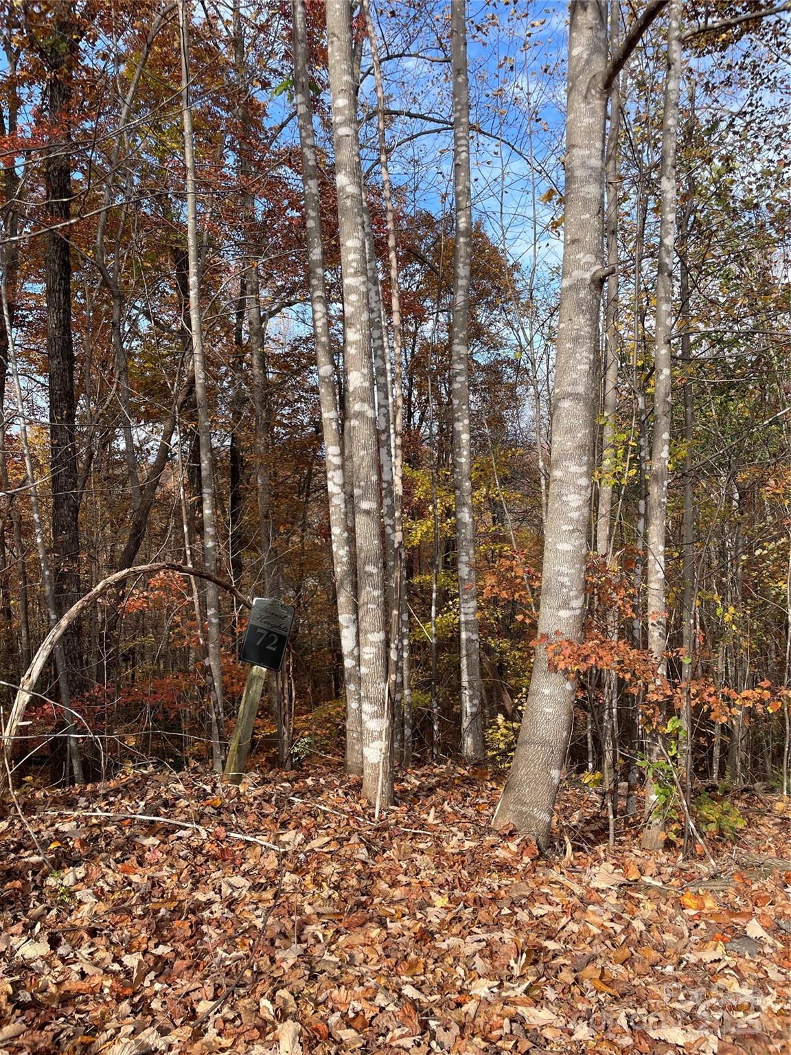 V/l Lot 72 & 170 Black Lark Drive Marion NC 28752