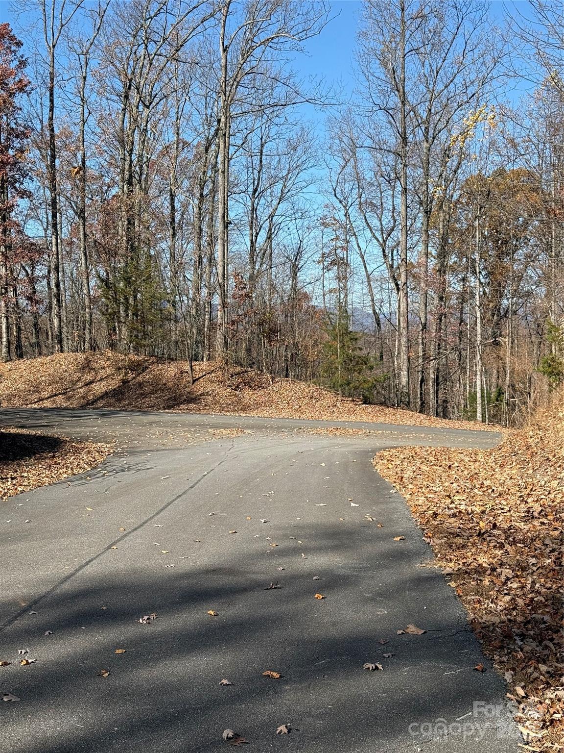 V/l Lot 72 & 170 Black Lark Drive Marion NC 28752