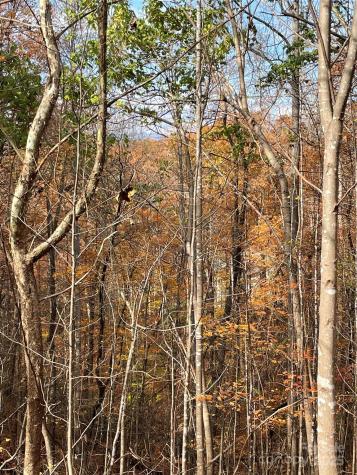 V/l Lot 72 & 170 Black Lark Drive Marion NC 28752