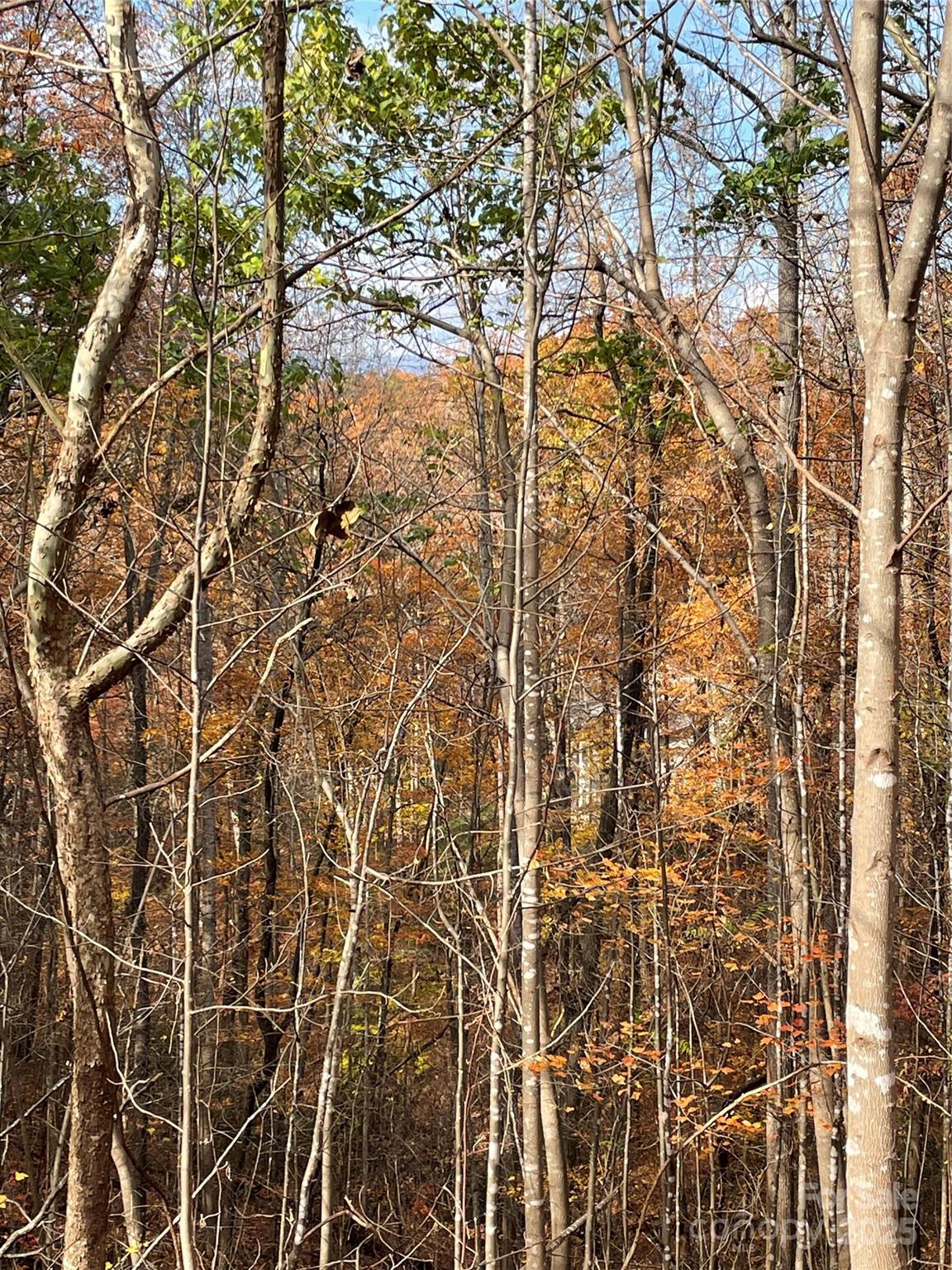 V/l Lot 72 & 170 Black Lark Drive Marion NC 28752