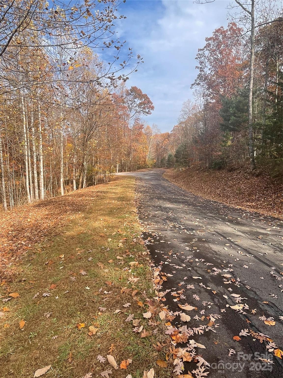 V/l Lot 72 & 170 Black Lark Drive Marion NC 28752