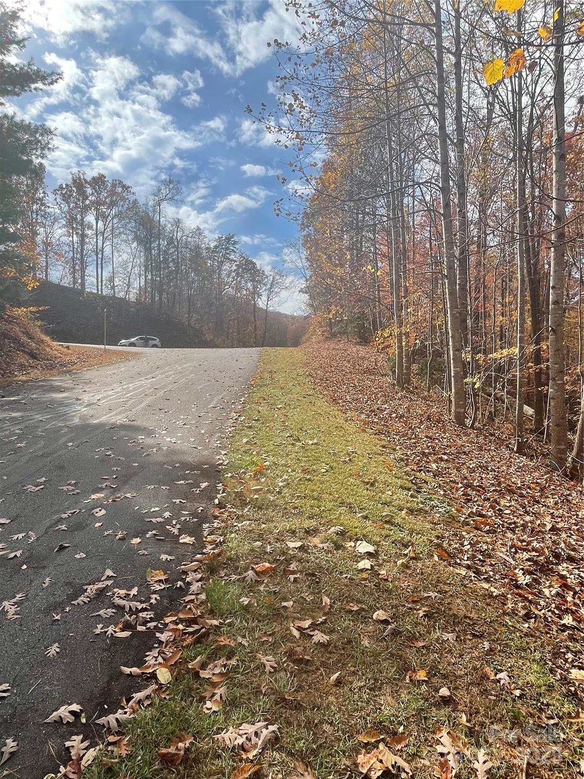 V/l Lot 72 & 170 Black Lark Drive Marion NC 28752