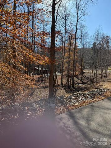 V/l Lot 72 & 170 Black Lark Drive Marion NC 28752