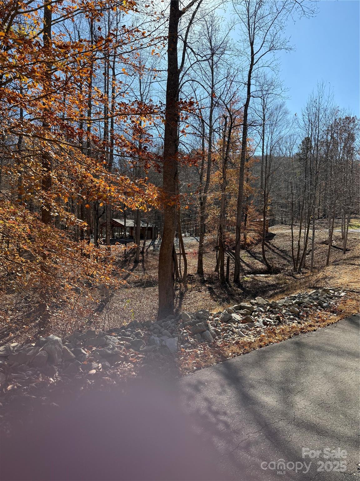 V/l Lot 72 & 170 Black Lark Drive Marion NC 28752