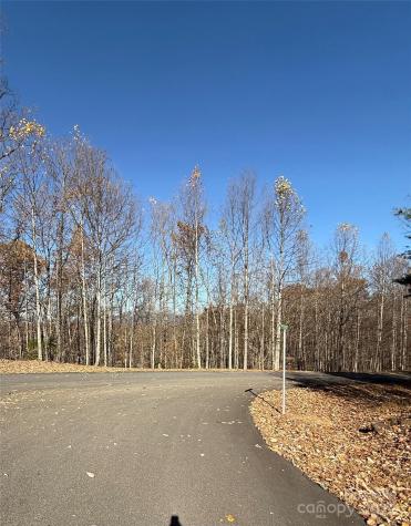V/l Lot 72 & 170 Black Lark Drive Marion NC 28752