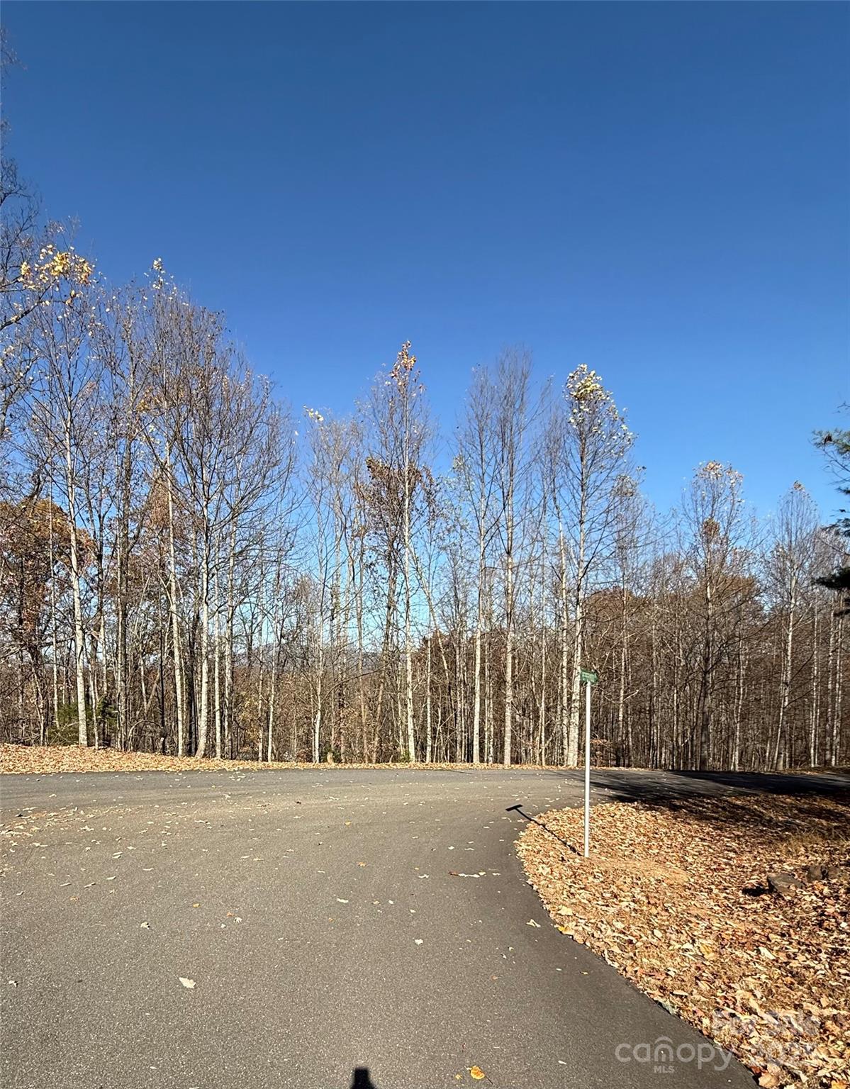 V/l Lot 72 & 170 Black Lark Drive Marion NC 28752