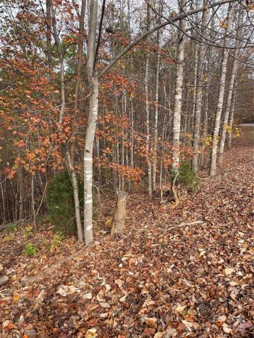 V/l Lot 72 & 170 Black Lark Drive Marion NC 28752