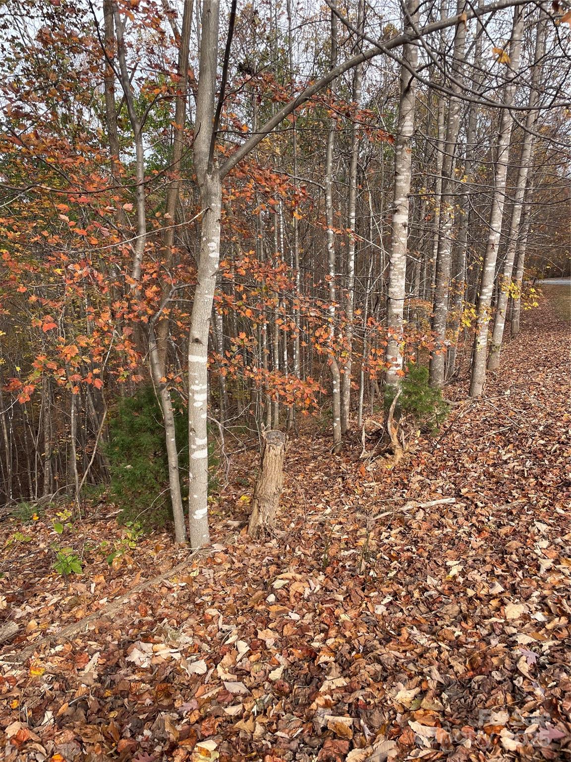 V/l Lot 72 & 170 Black Lark Drive Marion NC 28752