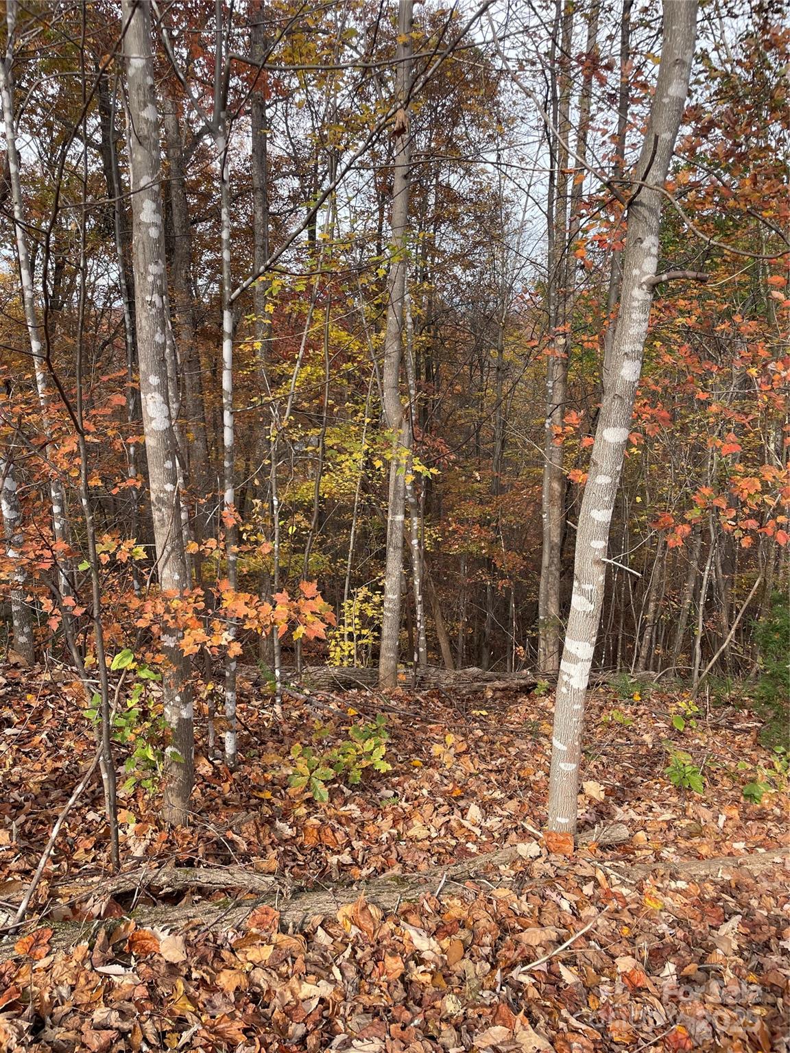 V/l Lot 72 & 170 Black Lark Drive Marion NC 28752