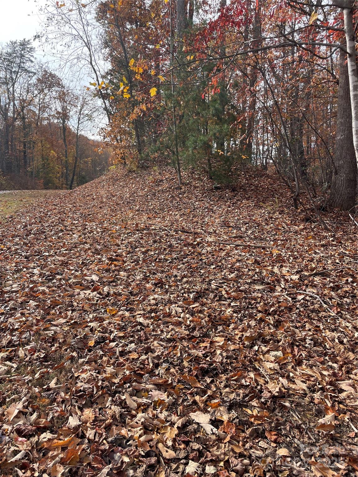 V/l Lot 72 & 170 Black Lark Drive Marion NC 28752