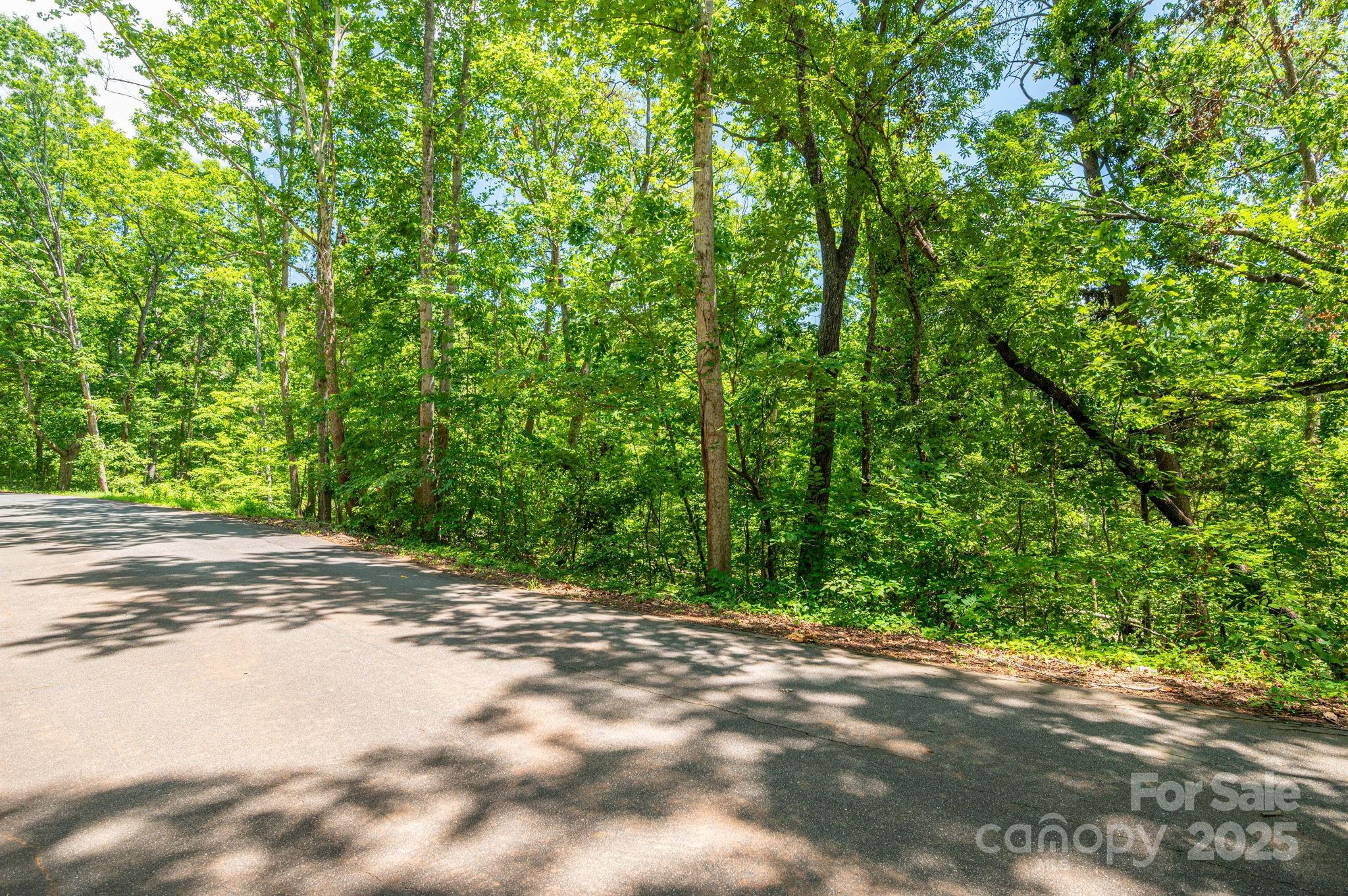 Lot 132 Plantation Drive Rutherfordton NC 28139