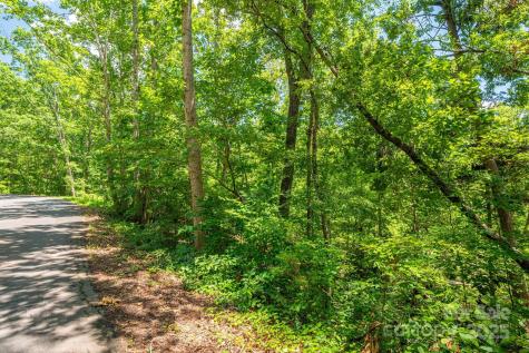 Lot 132 Plantation Drive Rutherfordton NC 28139
