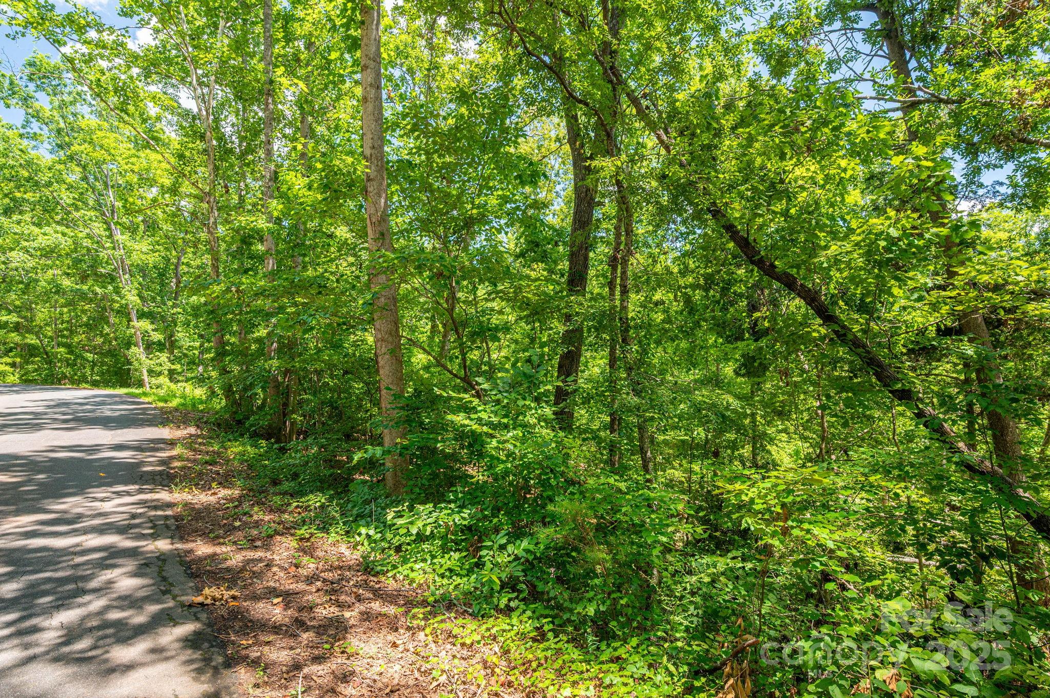 Lot 132 Plantation Drive Rutherfordton NC 28139