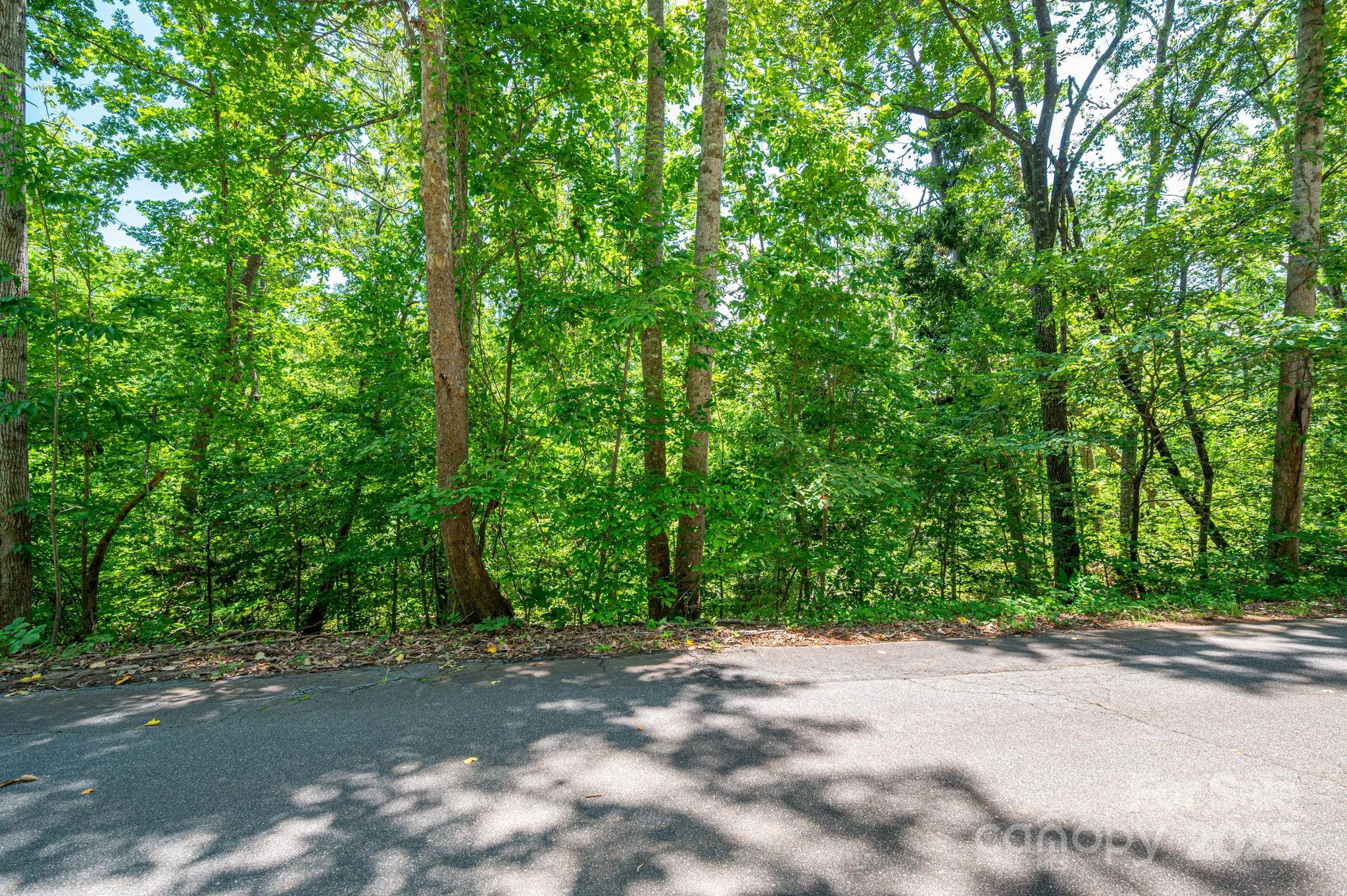 Lot 132 Plantation Drive Rutherfordton NC 28139