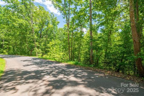 Lot 132 Plantation Drive Rutherfordton NC 28139
