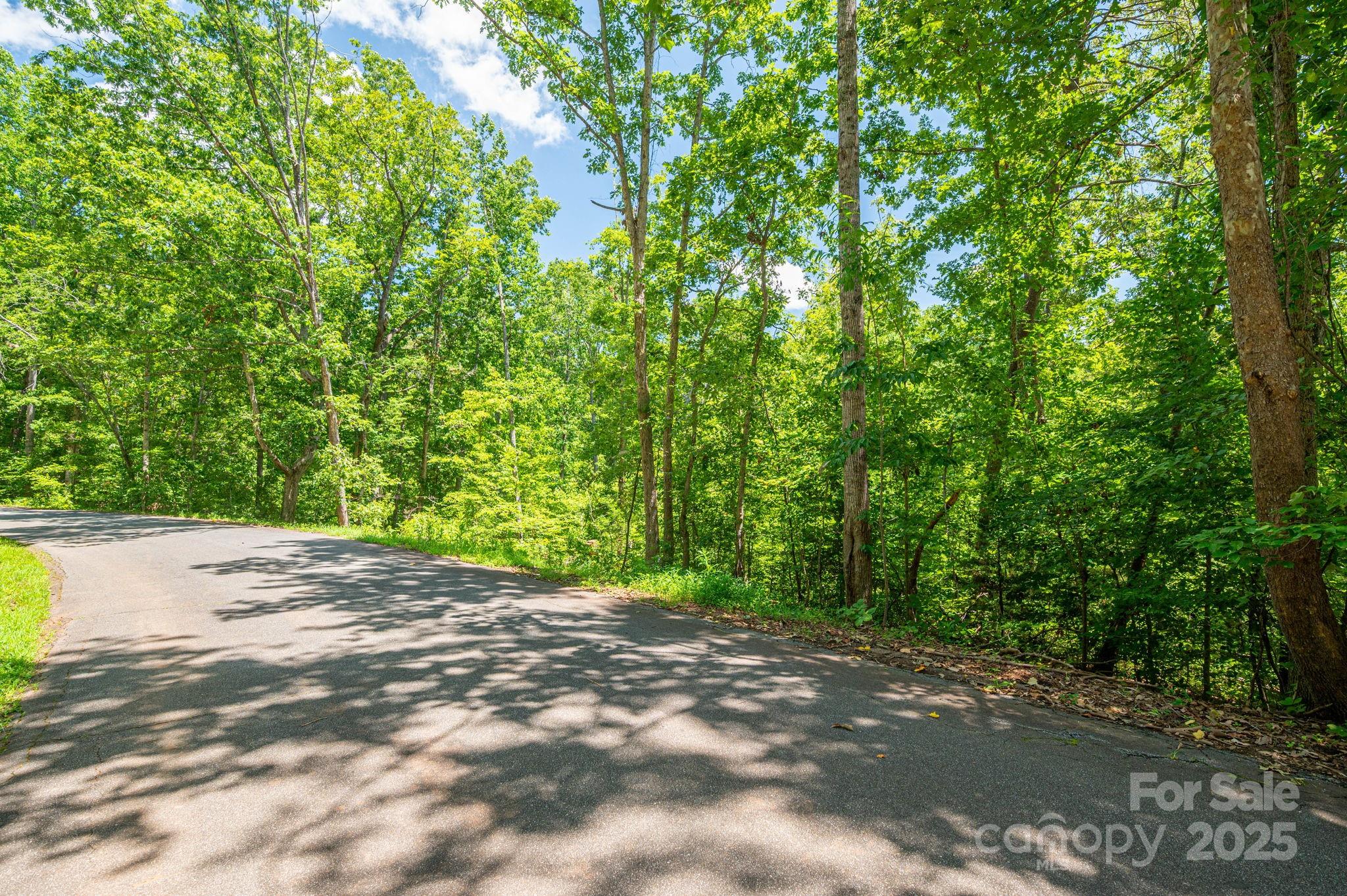 Lot 132 Plantation Drive Rutherfordton NC 28139