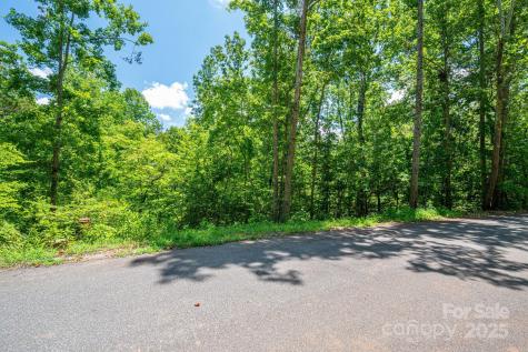 Lot 132 Plantation Drive Rutherfordton NC 28139