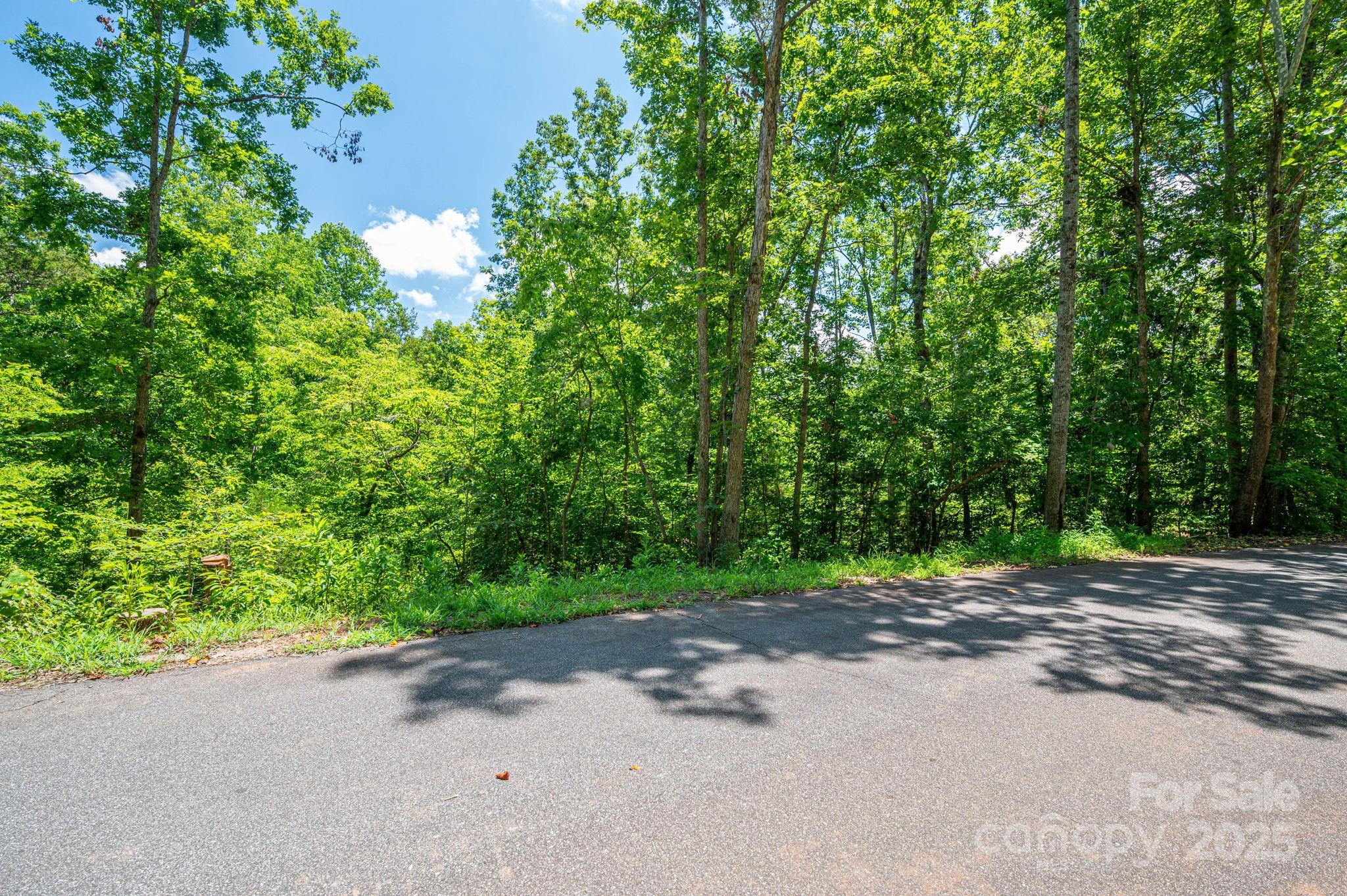 Lot 132 Plantation Drive Rutherfordton NC 28139