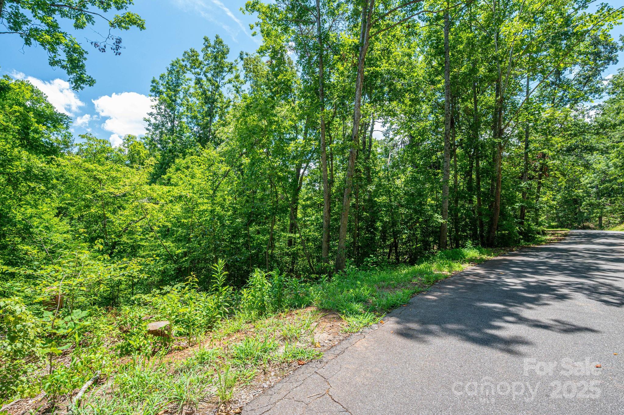 Lot 132 Plantation Drive Rutherfordton NC 28139