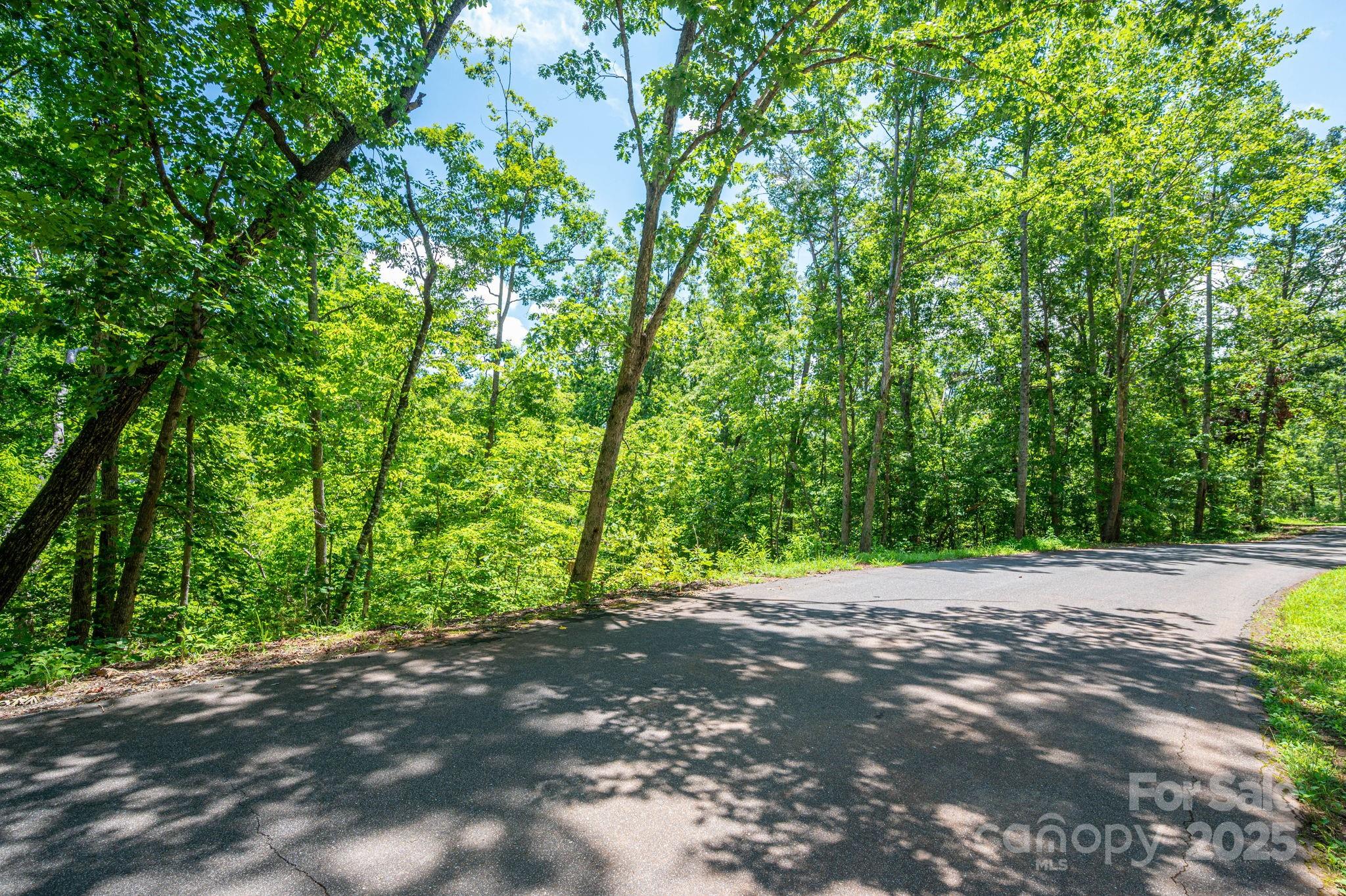 Lot 132 Plantation Drive Rutherfordton NC 28139