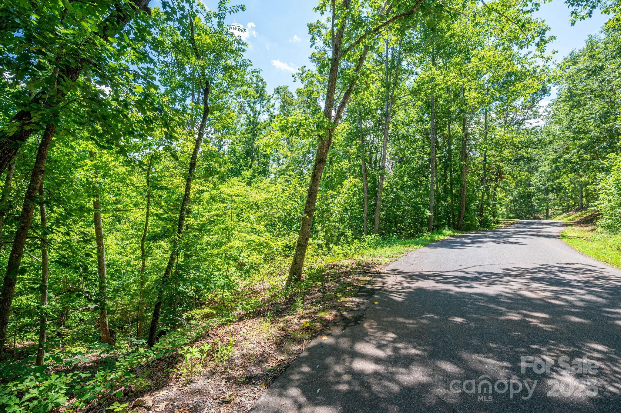 Lot 132 Plantation Drive Rutherfordton NC 28139