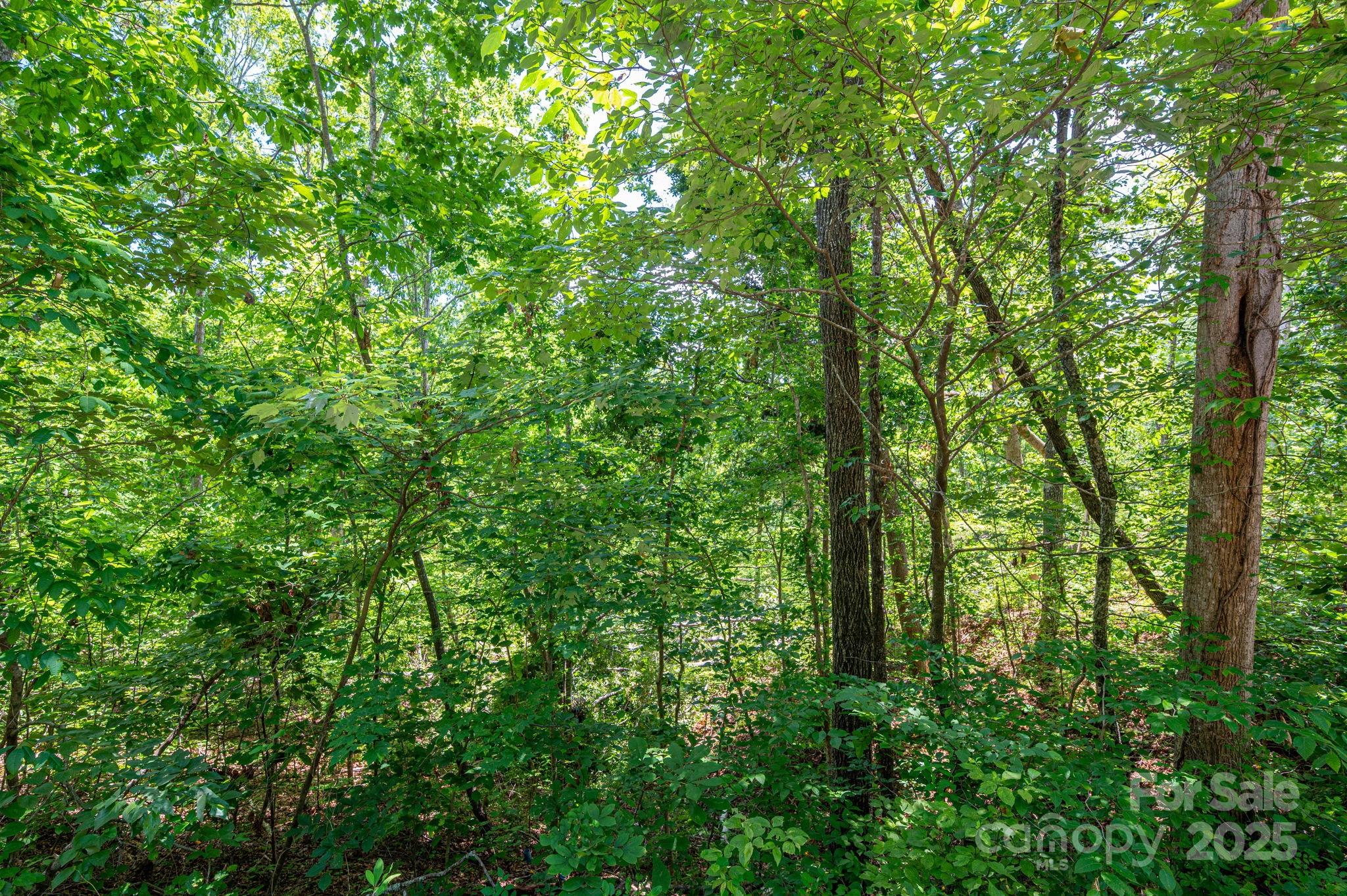 Lot 132 Plantation Drive Rutherfordton NC 28139