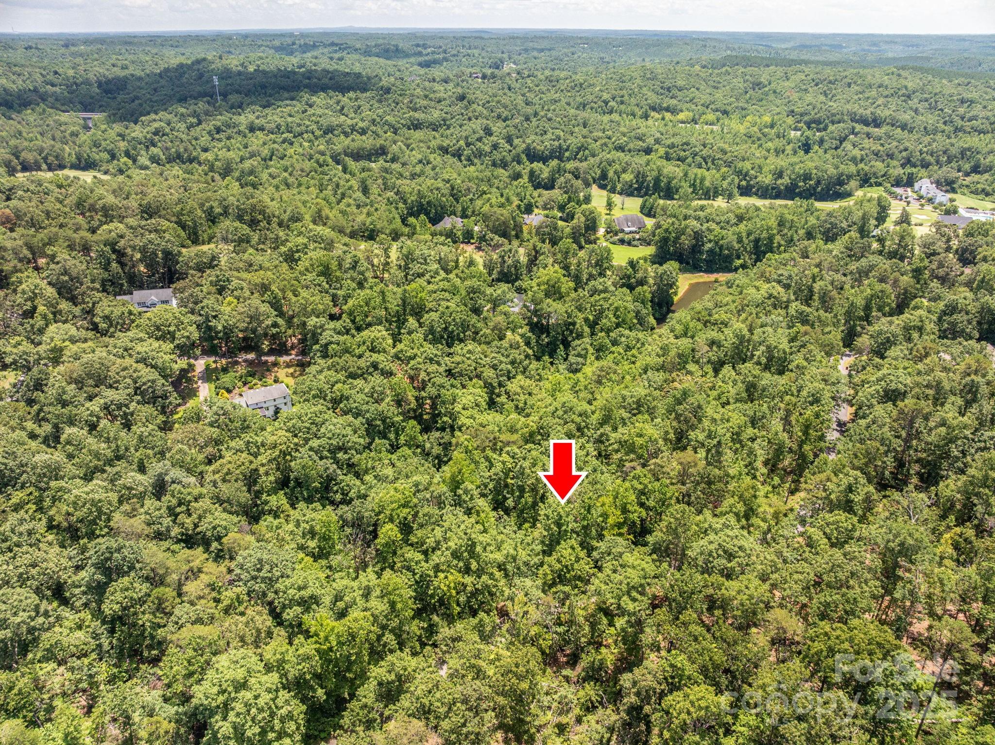 Lot 132 Plantation Drive Rutherfordton NC 28139