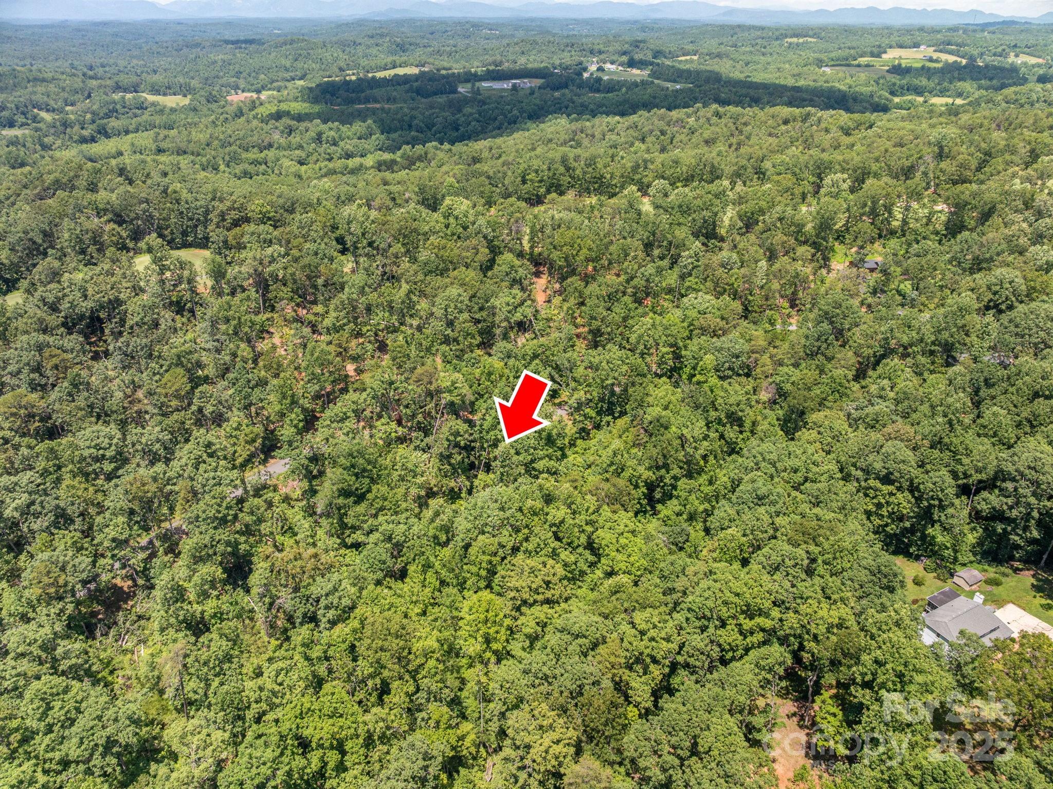 Lot 132 Plantation Drive Rutherfordton NC 28139