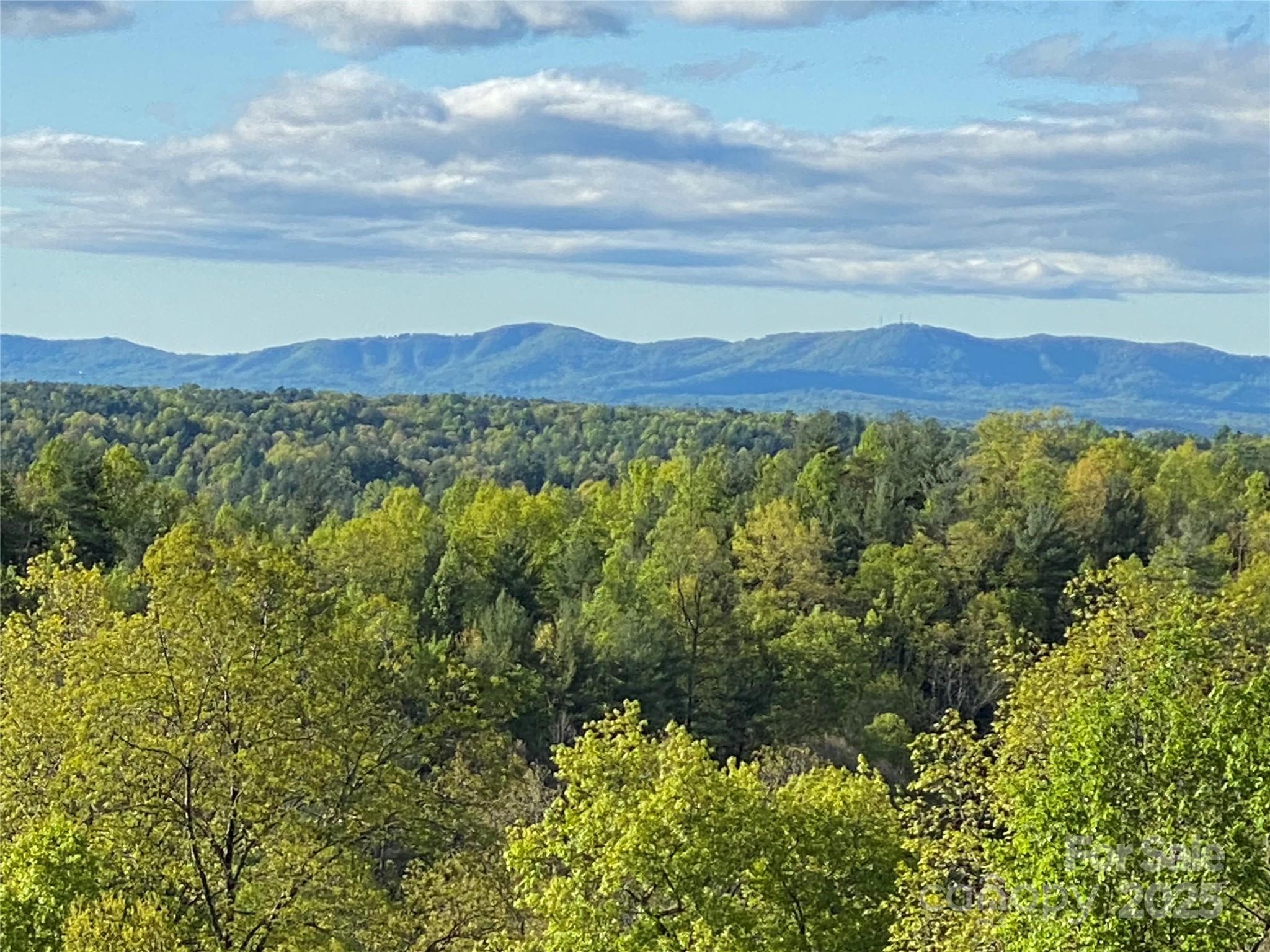 1030 River Club Ridge Lenoir NC 28645