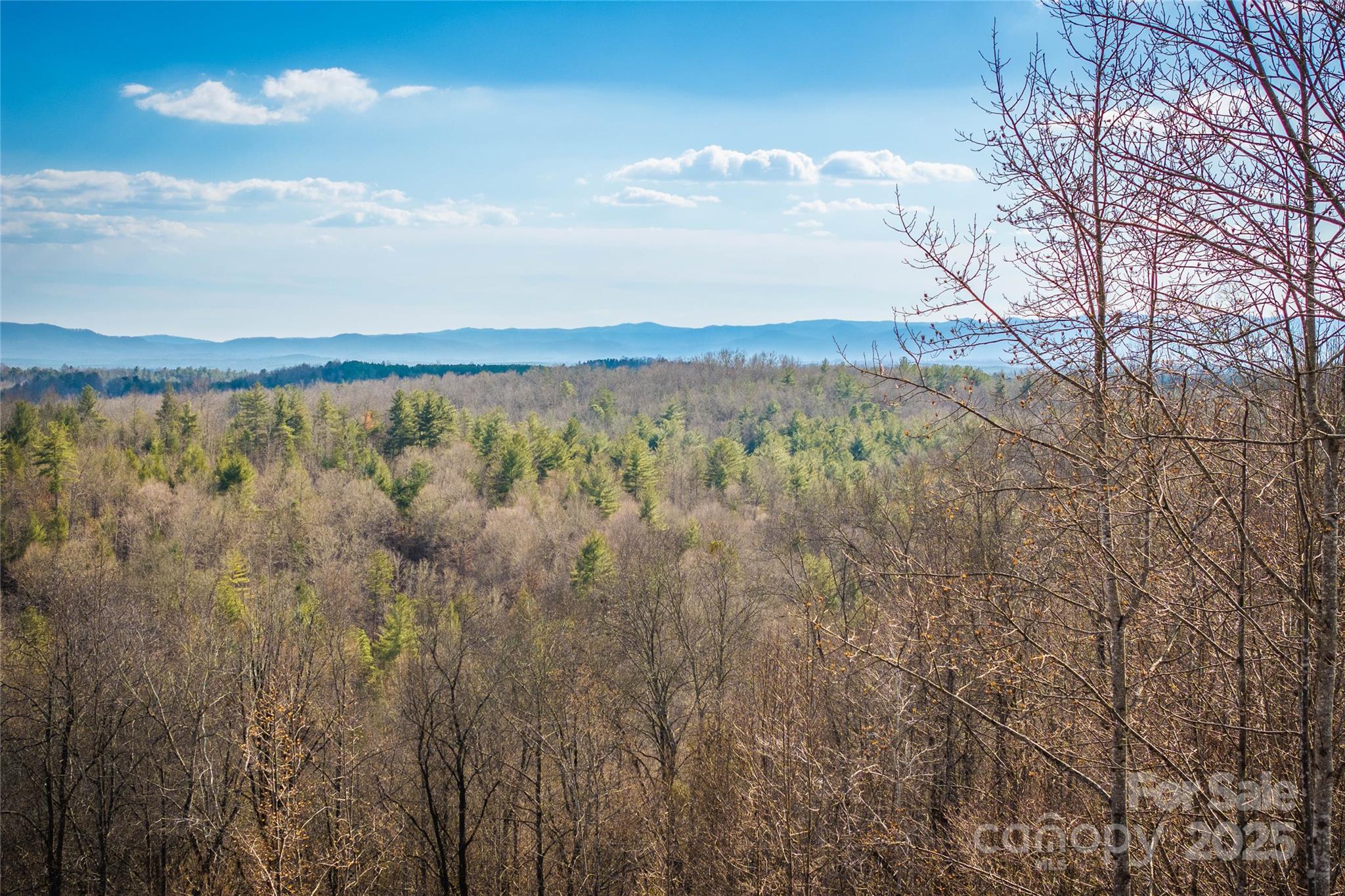 1030 River Club Ridge Lenoir NC 28645