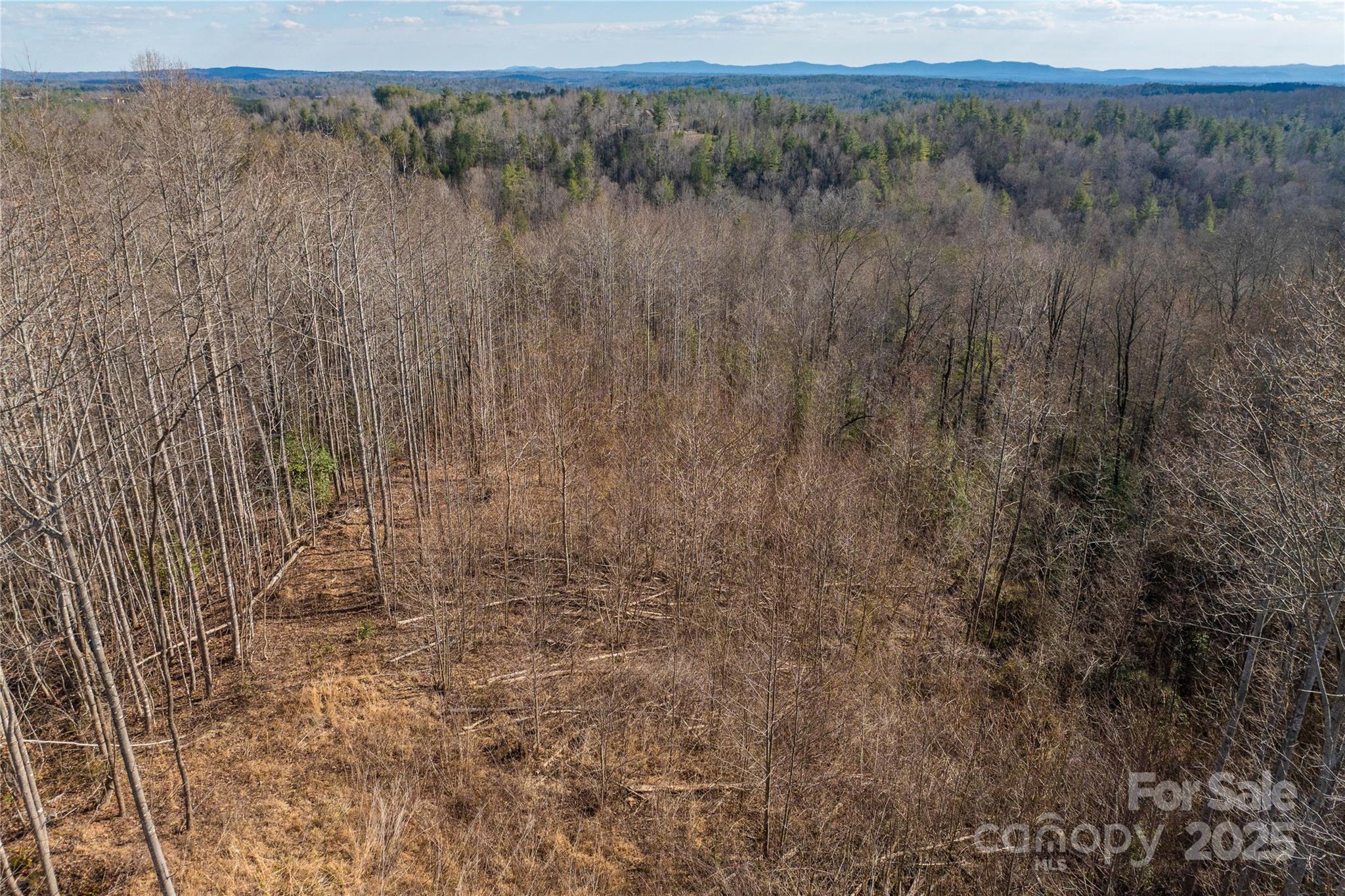 1030 River Club Ridge Lenoir NC 28645
