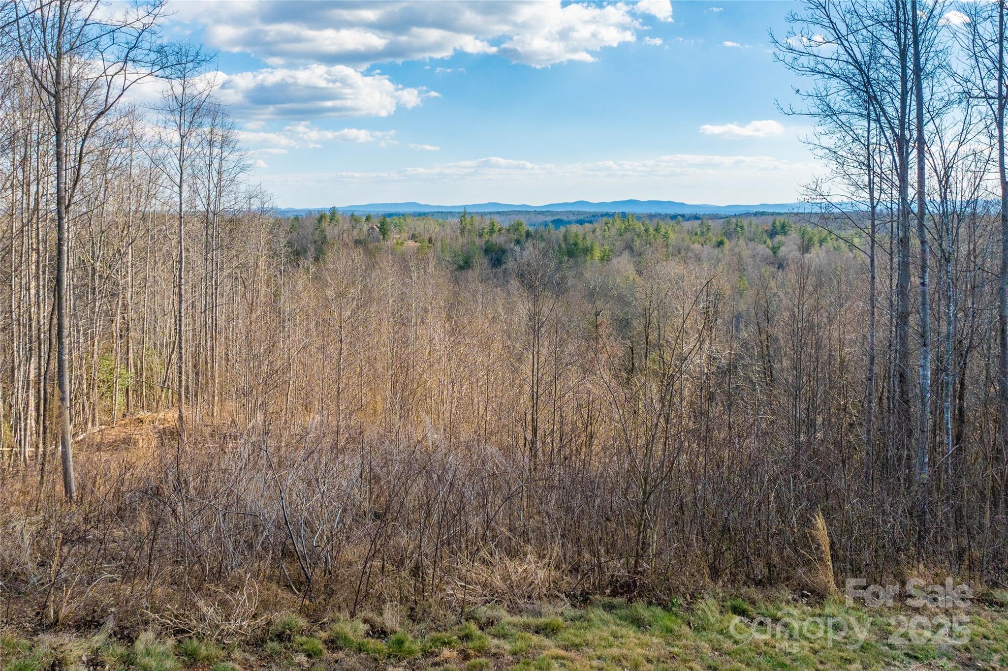 1030 River Club Ridge Lenoir NC 28645