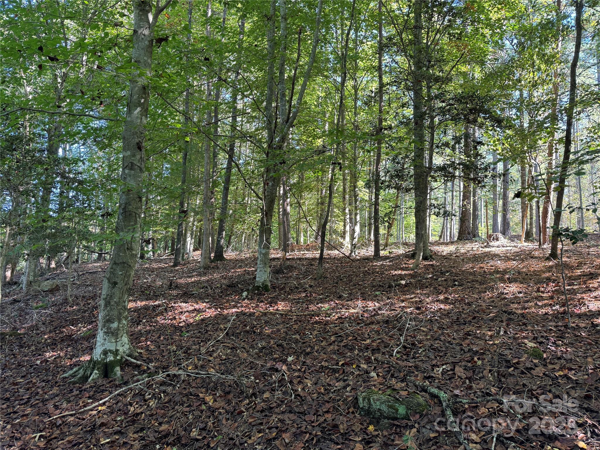 00 Hayes Mill Road Granite Falls NC 28630