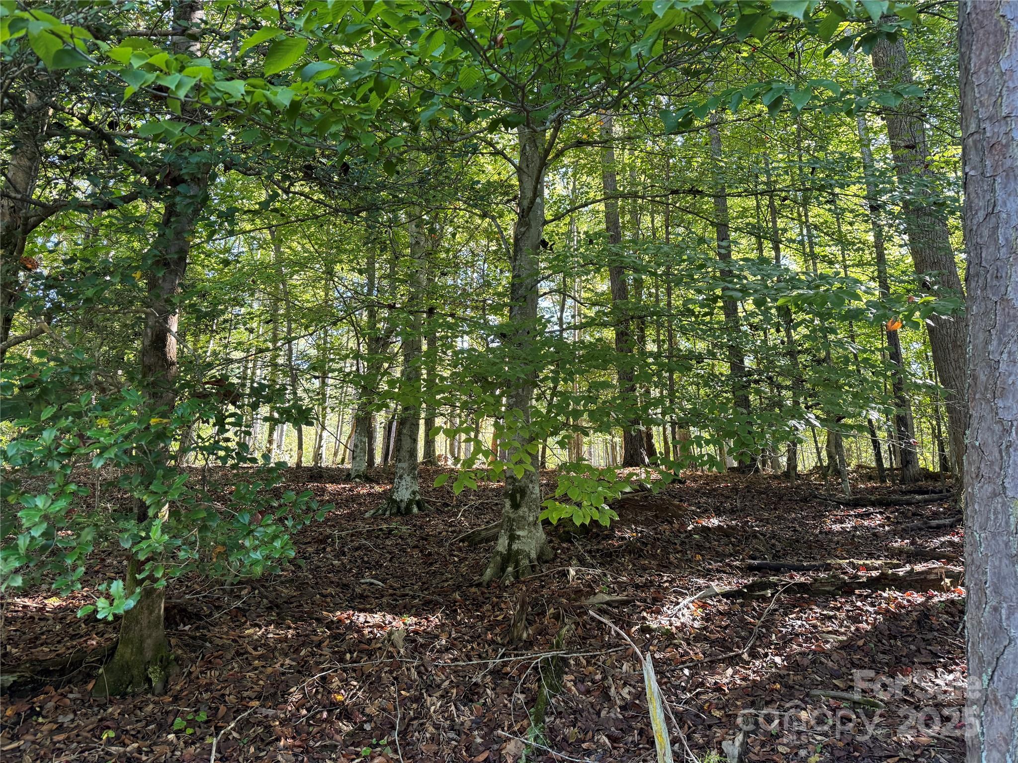 00 Hayes Mill Road Granite Falls NC 28630