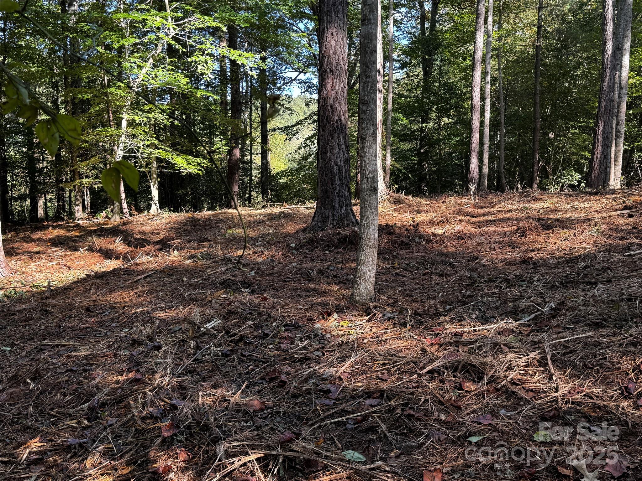 00 Hayes Mill Road Granite Falls NC 28630