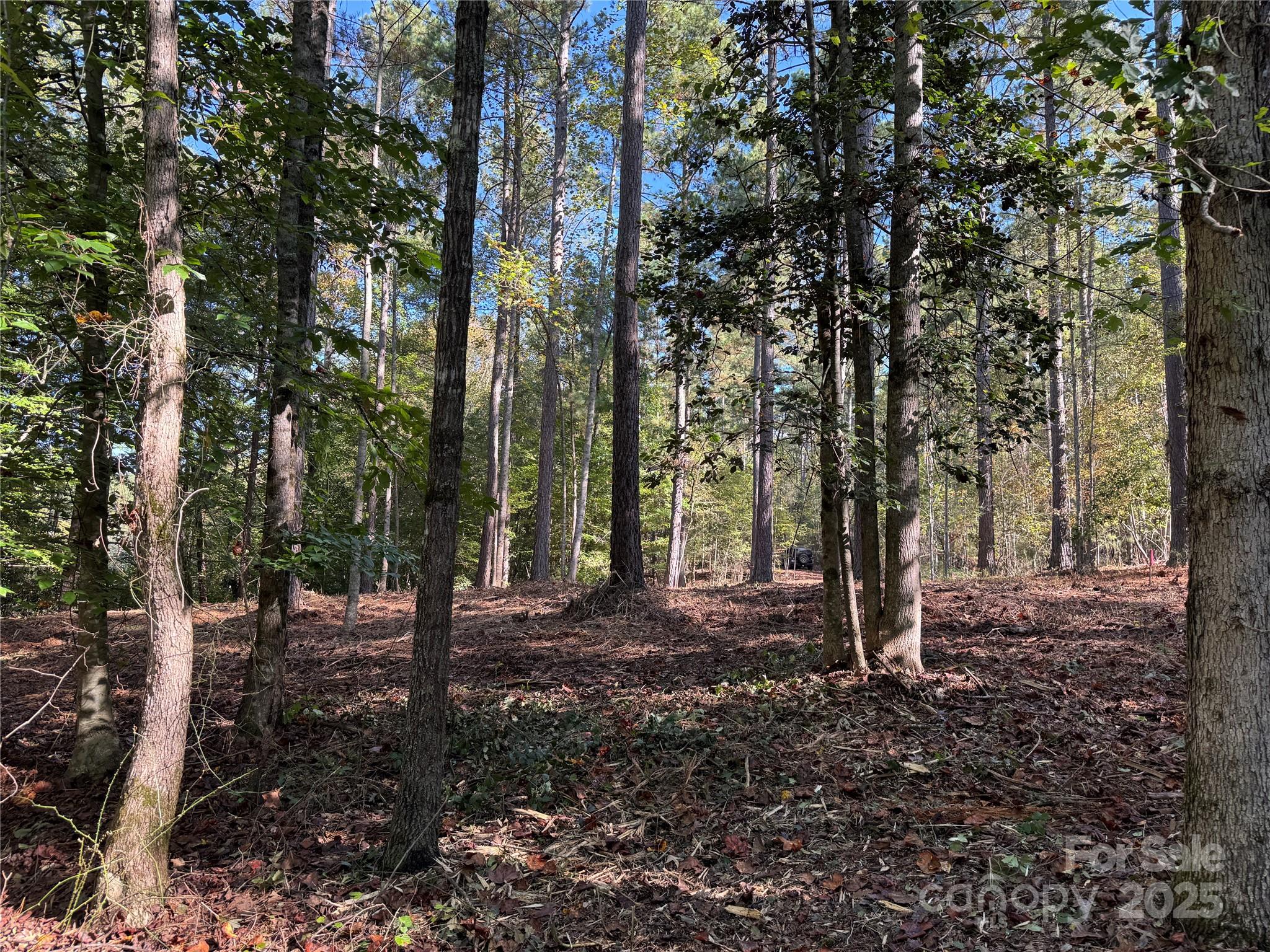 00 Hayes Mill Road Granite Falls NC 28630