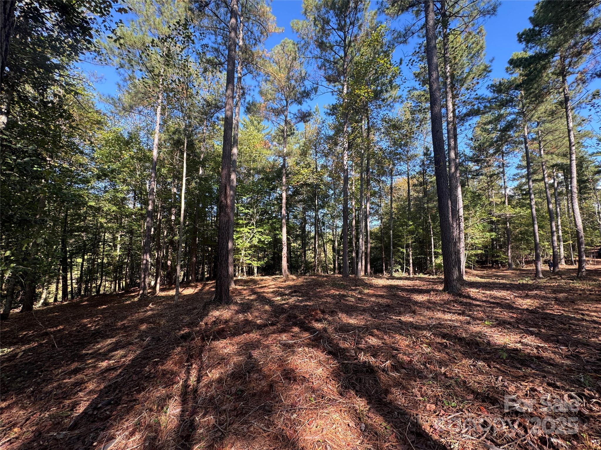 00 Hayes Mill Road Granite Falls NC 28630