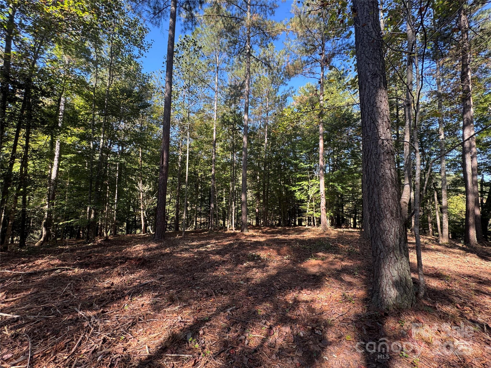 00 Hayes Mill Road Granite Falls NC 28630