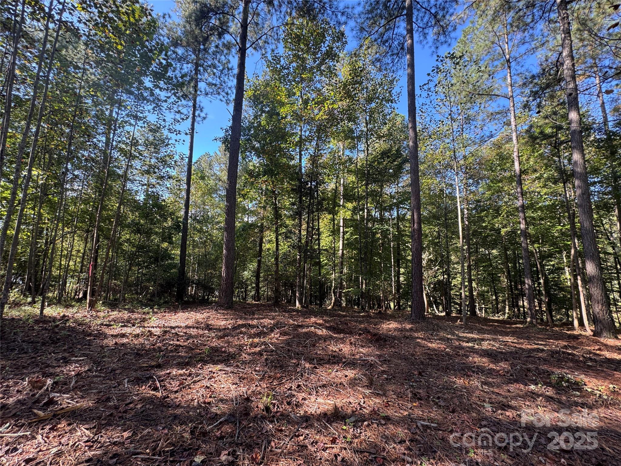 00 Hayes Mill Road Granite Falls NC 28630
