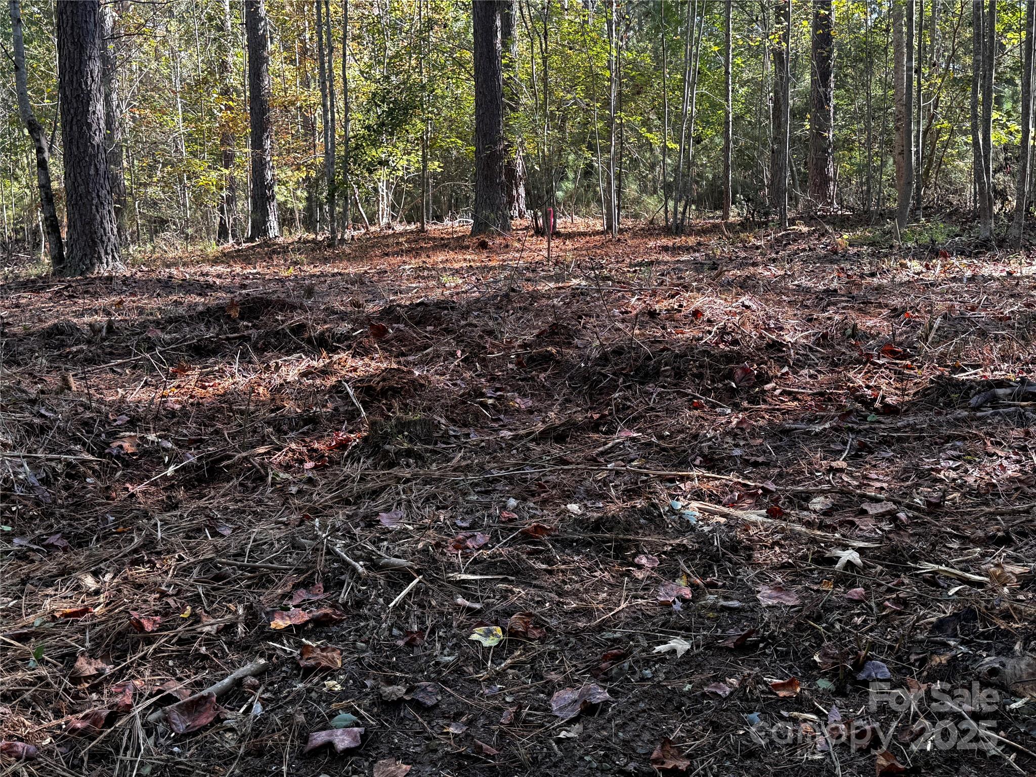 00 Hayes Mill Road Granite Falls NC 28630
