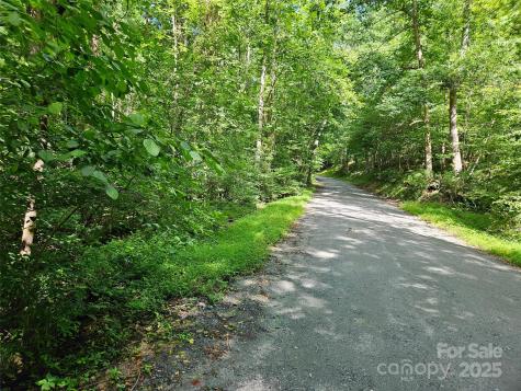 0 Sandpiper Avenue Lake Lure NC 28746