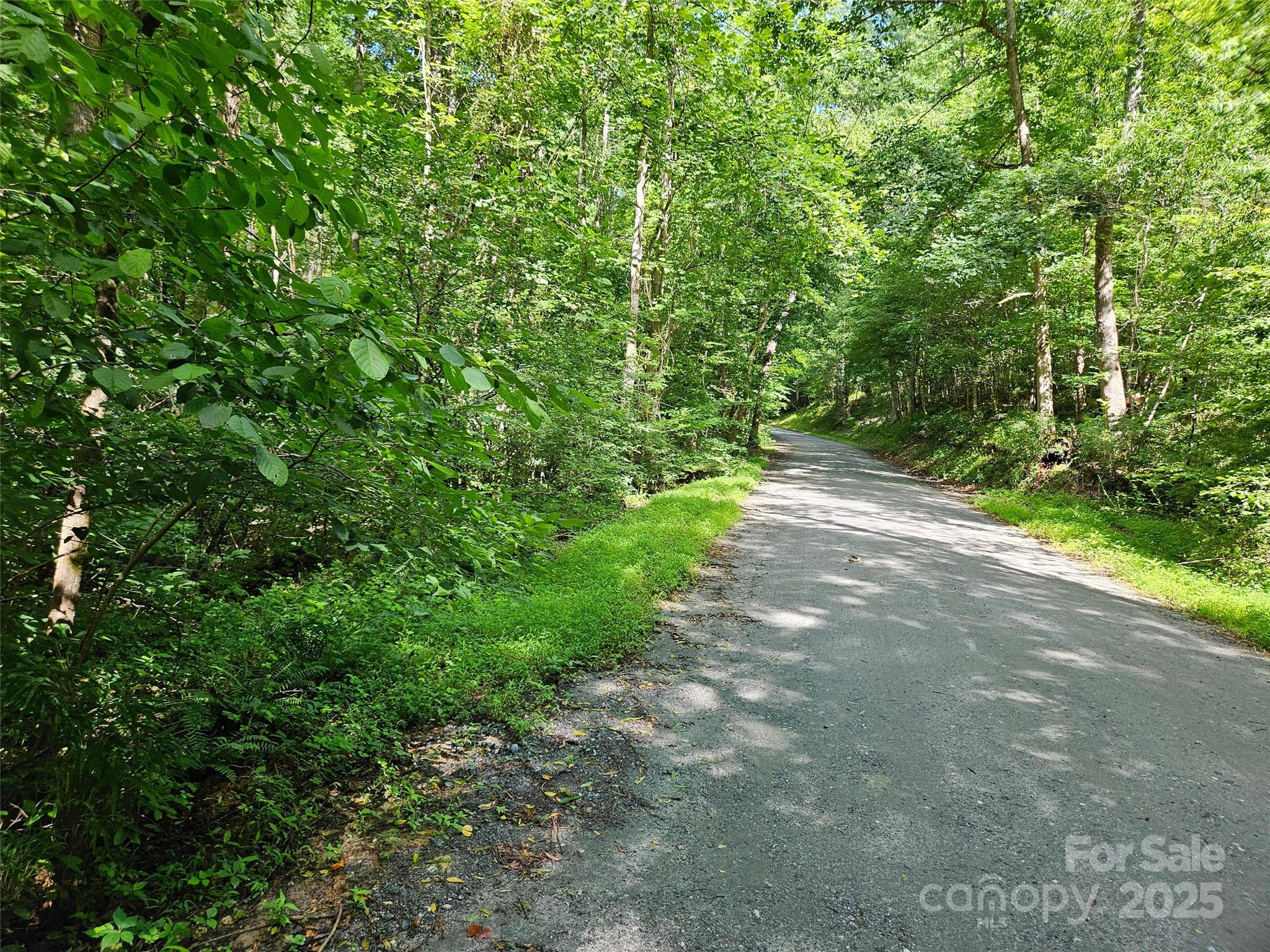 0 Sandpiper Avenue Lake Lure NC 28746