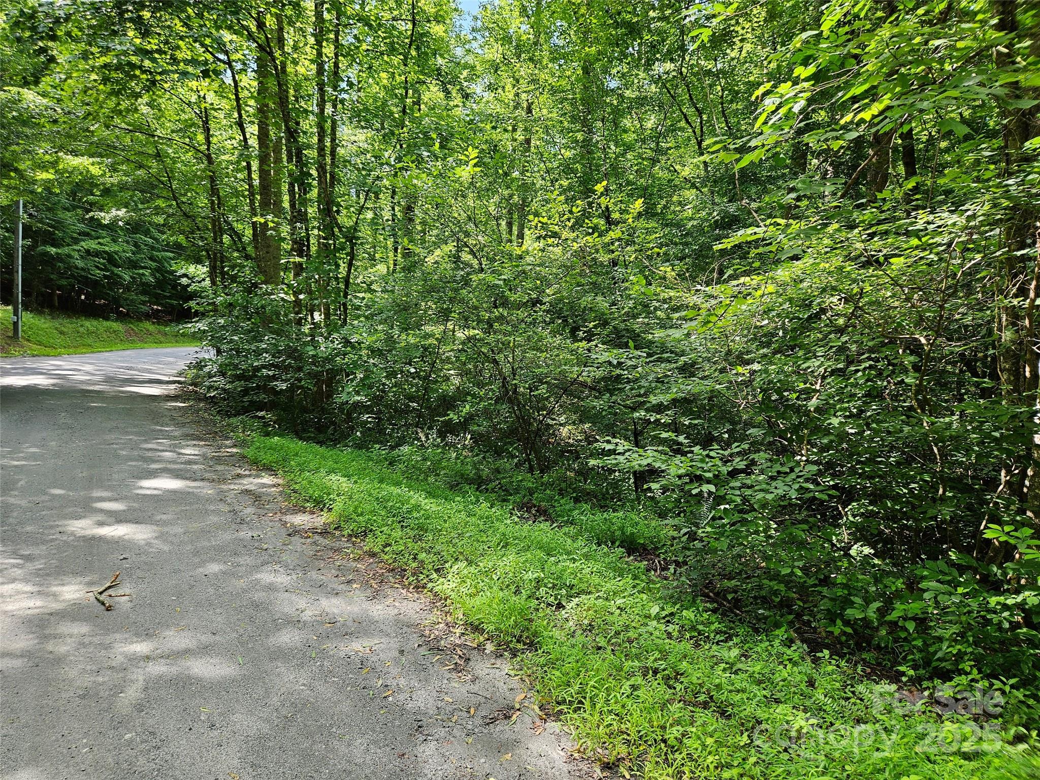 0 Sandpiper Avenue Lake Lure NC 28746