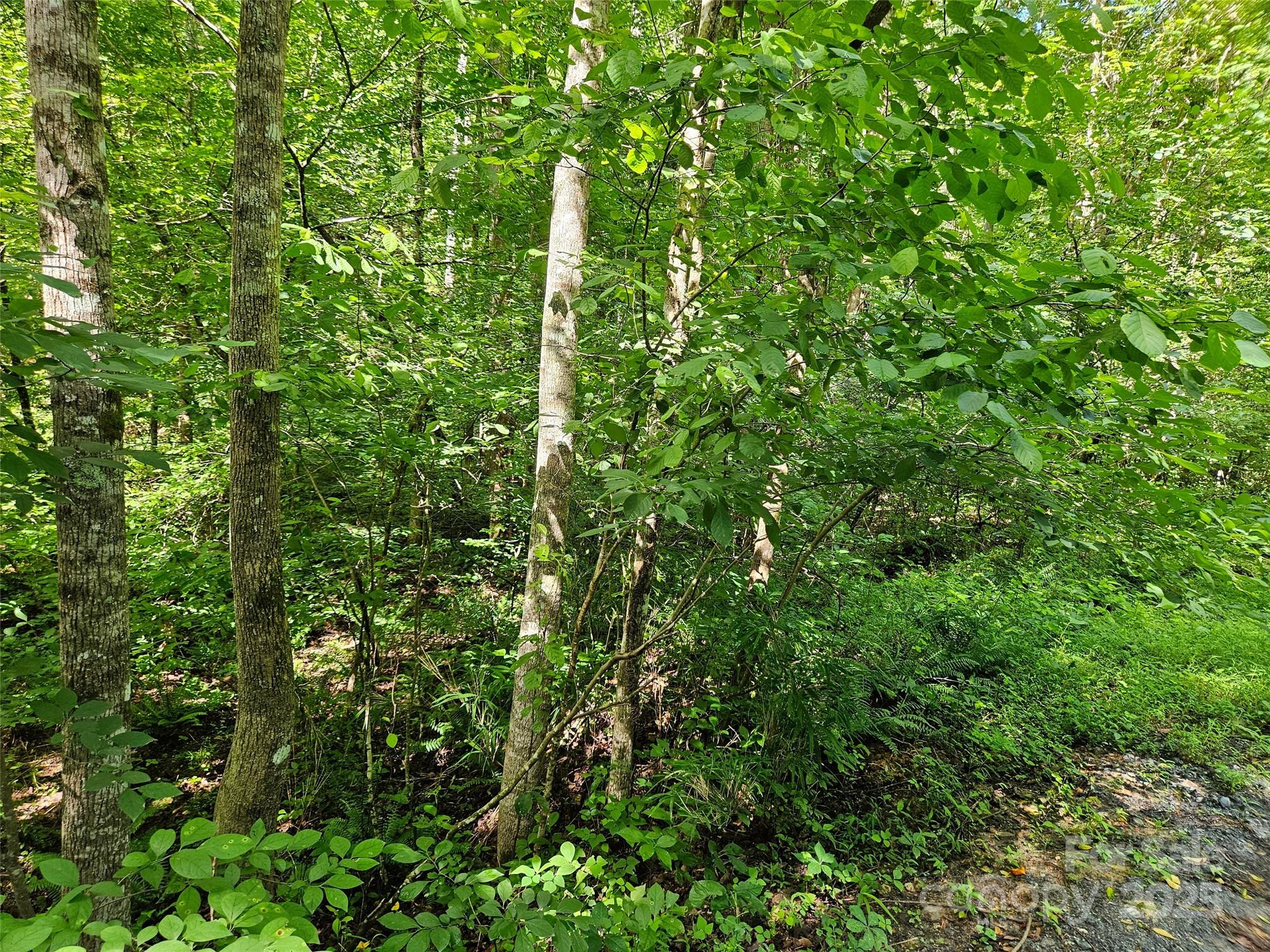 0 Sandpiper Avenue Lake Lure NC 28746