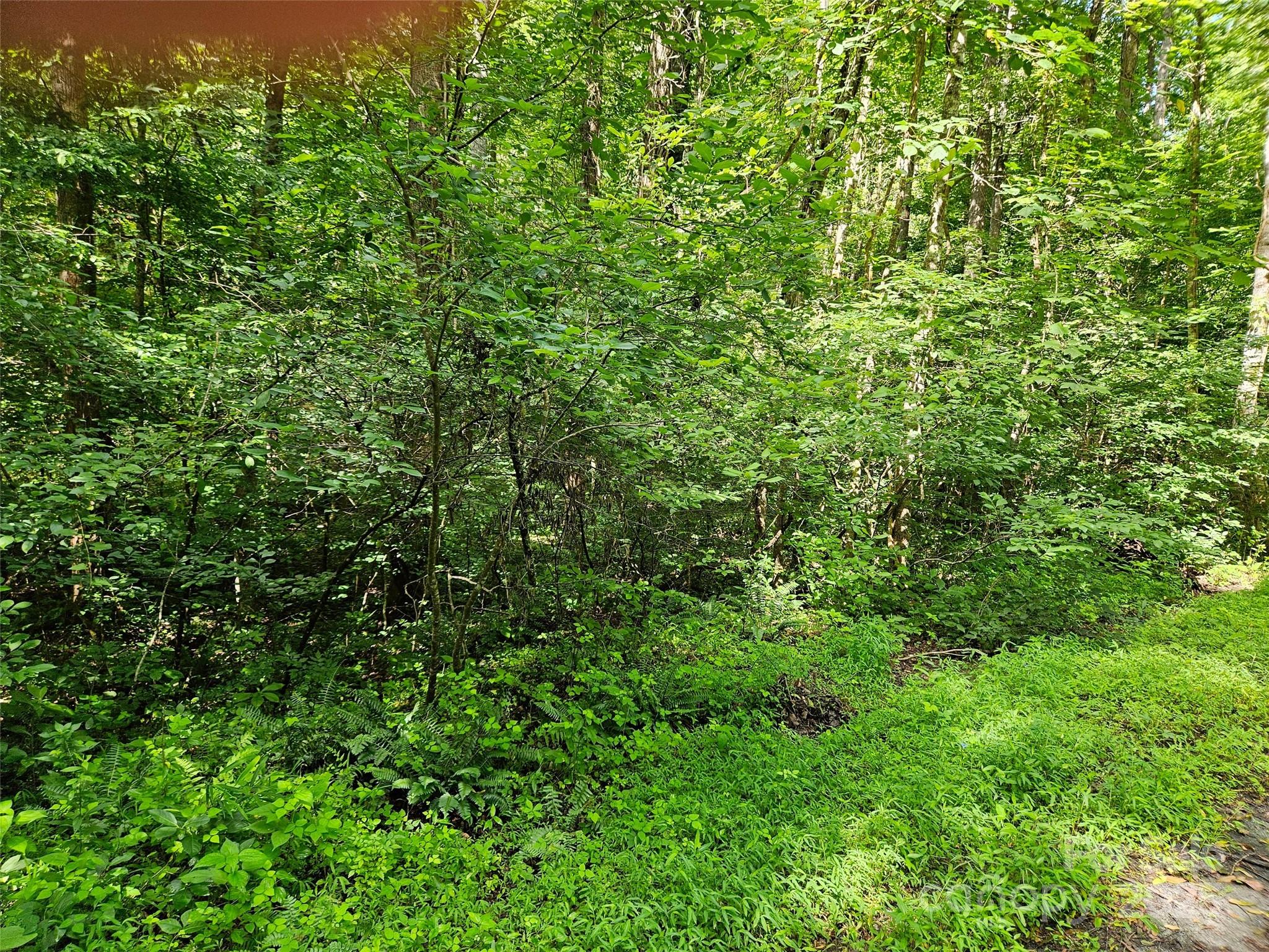 0 Sandpiper Avenue Lake Lure NC 28746
