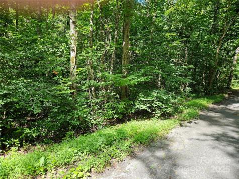 0 Sandpiper Avenue Lake Lure NC 28746